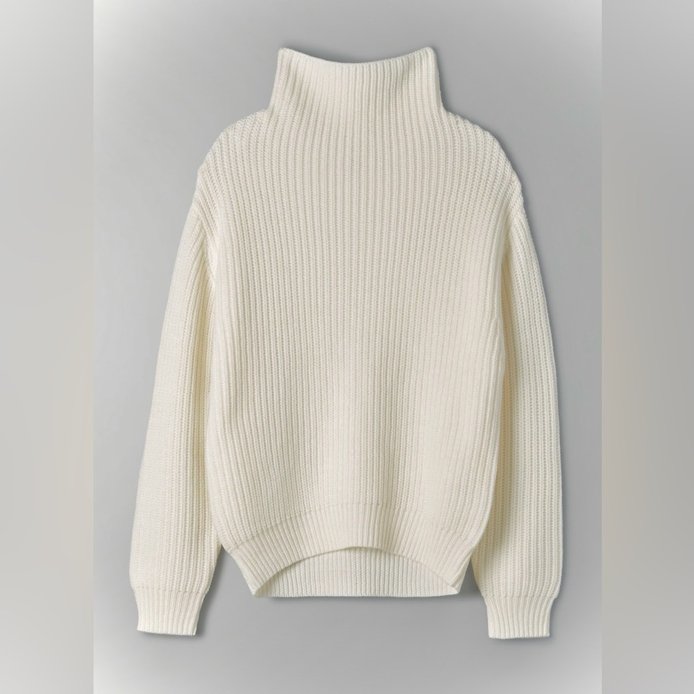 Aritzia Wilfred Montpellier Turtleneck